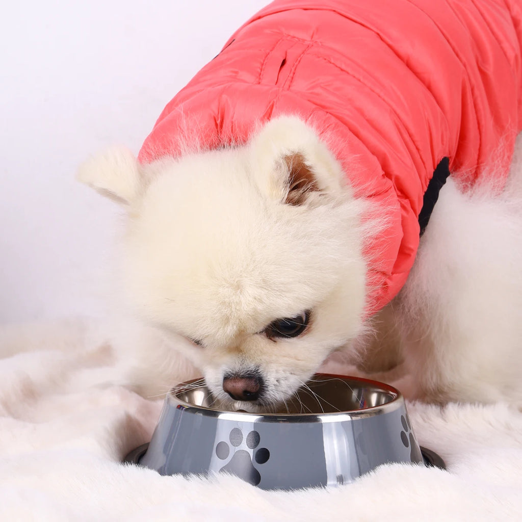 PawDish™ — Tigela Antiderrapante em Aço Inoxidável para Cães e Gatos