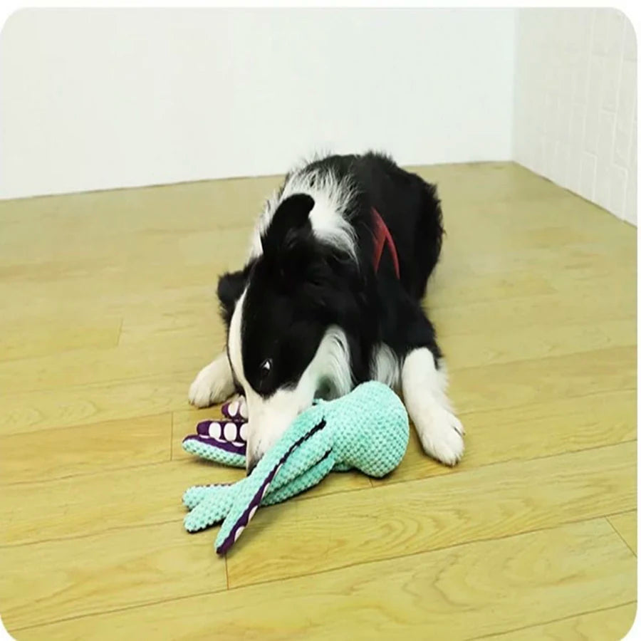 OctoBuddy™ – The Squeaky Playmate