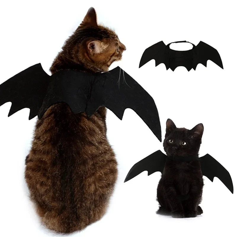 Arnês de Fantasia BatBuddy™