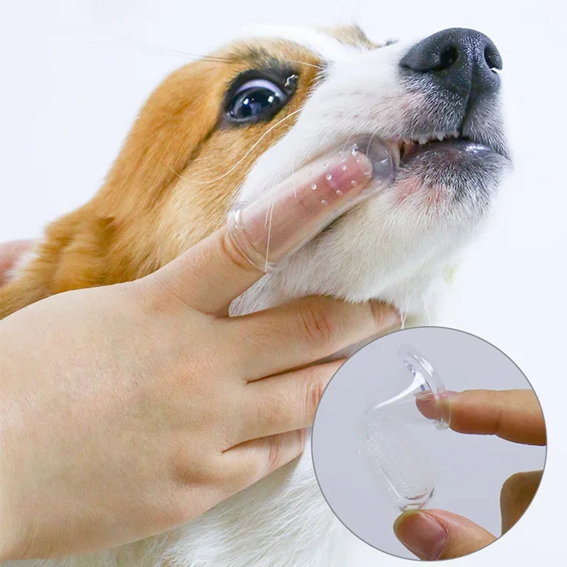 Escova Dental Suave para Pets