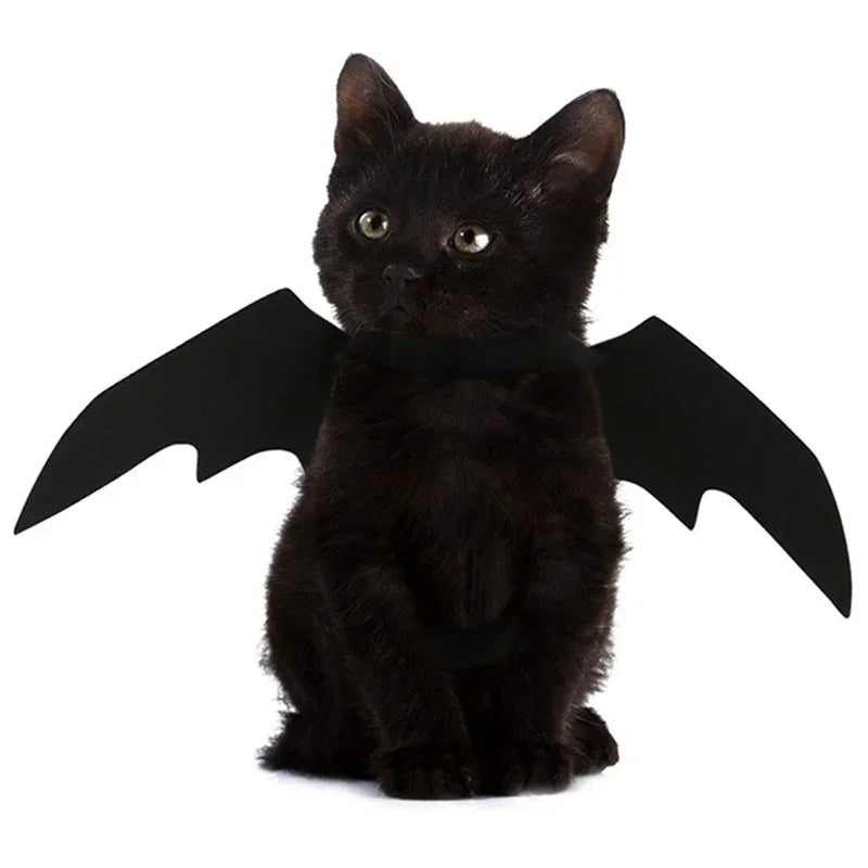 Arnês de Fantasia BatBuddy™