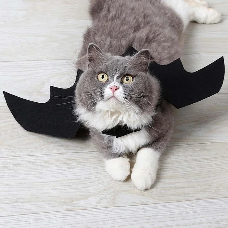 Arnês de Fantasia BatBuddy™
