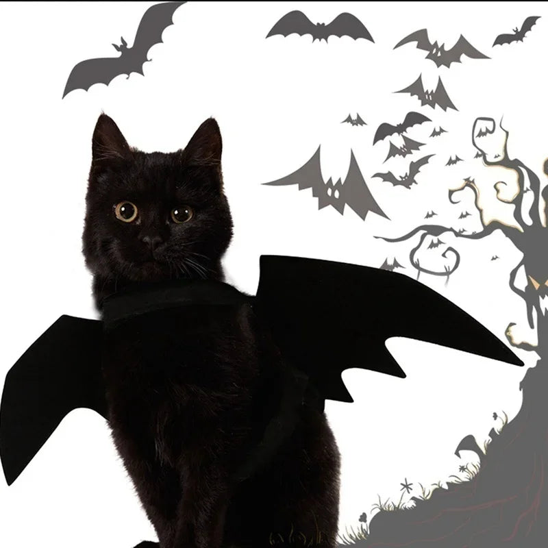 Arnês de Fantasia BatBuddy™