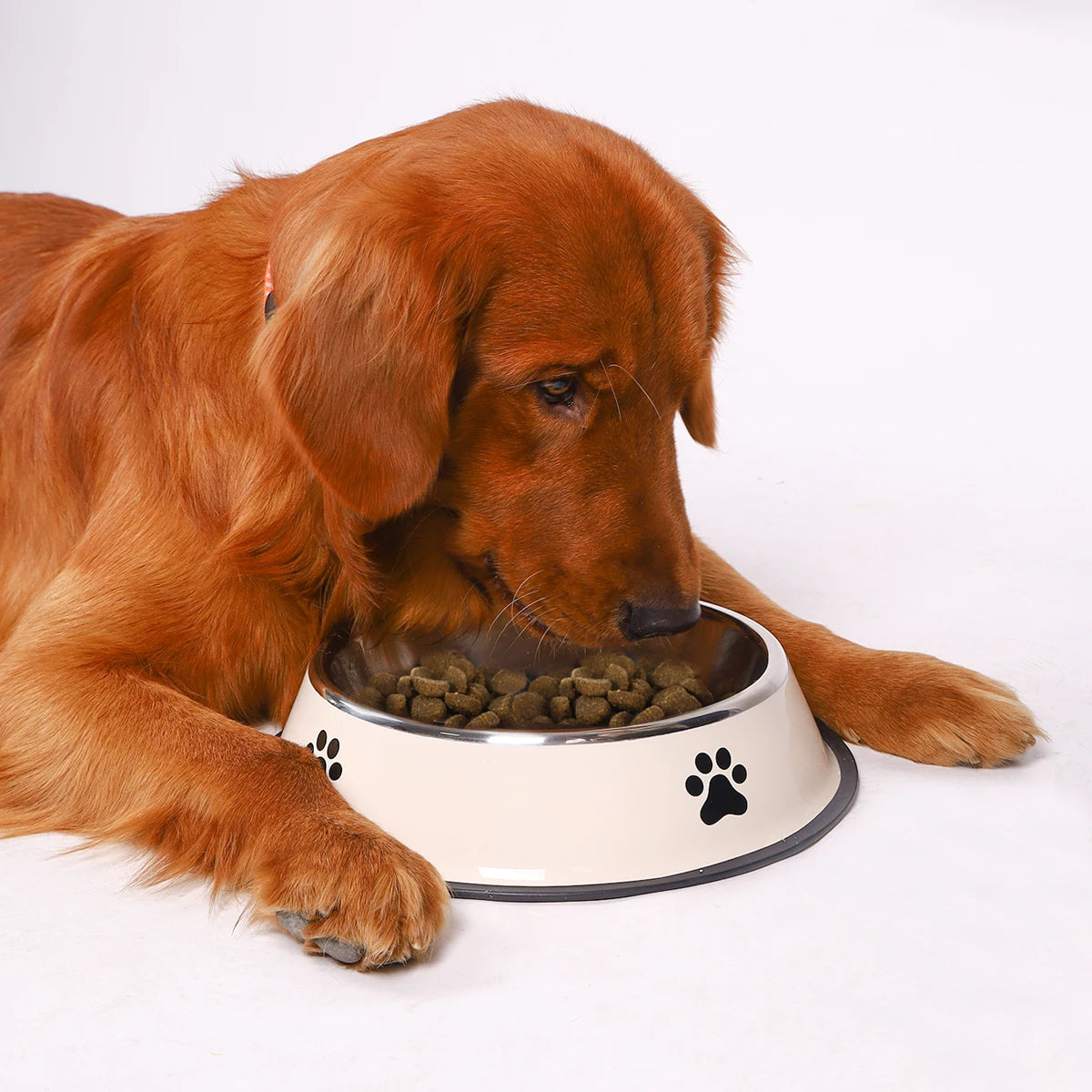 PawDish™ — Tigela Antiderrapante em Aço Inoxidável para Cães e Gatos